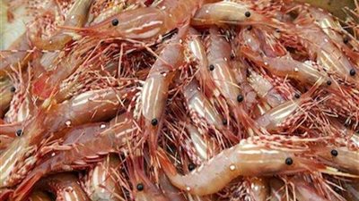 شرطة التموين تضبط 1٫1 طن 