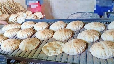 تحرير 5 محاضر إنتاج خبز ناقص الوزن بحملة تموينية في البحيرة