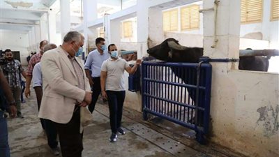 بالصور | وزير الزراعة يتفقد مركز التلقيح الاصطناعي بالإسكندرية