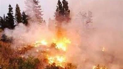 اليونان تكشف تفاصيل جديدة بشأن 600 حريق اندلع في اليابان