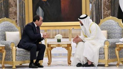 السيسي يبحث مع وفد إماراتي تعزيز التعاون وسط إشادة أبو ظبي بالمناخ الاستثماري