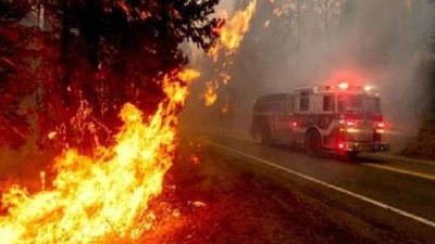 الملك سلمان وولي العهد يعزيان رئيس الجزائر في ضحايا الحرائق