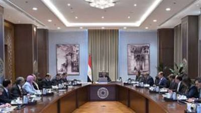 رئيس الوزراء يتابع جهود تنمية المنطقة الاقتصادية للمثلث الذهبي