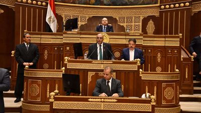 وزيرة البيئة تناقش دراسة عن التنمية الاقتصادية ومصادر الطاقة بـ مجلس الشيوخ