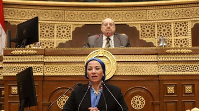 وزيرة البيئة بمناقشات مجلس الشيوخ: المشروعات التي تنفذها الدولة اقتصاد أخضر