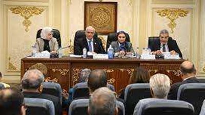 أميرة العادلي تكشف نتائج اجتماع مجلس النواب اليوم حول المستبعدين من مسابقة 30 ألف معلم