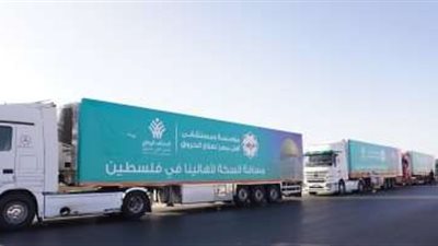 متحدث الصحة العالمية: ضرورة إدخال المساعدات لغزة في الوقت الراهن لدقة الوضع وخطورته