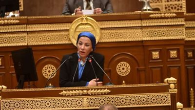 وزيرة البيئة تناقش تقرير لجنة الطاقة والبيئة والقوى العاملة عن التنمية الاقتصادية