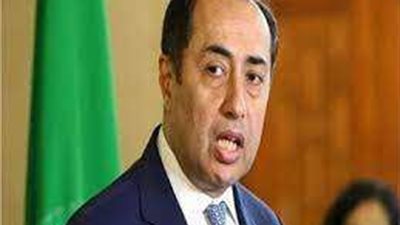 هل تأخر عقد قمة عربية طارئة ؟ السفير حسام زكي يكشف الأسباب