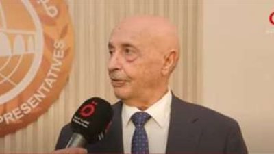 القاهرة الإخبارية: لقاء بين رئيسي مجلس النواب والمجلس الأعلى للدولة الليبيين بمصر