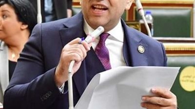 برلماني: مصر لم تتأخر يوما عن دعم أشقائها العرب وتتعامل مع جميع القضايا العربية من منطلق المسئولية القومية