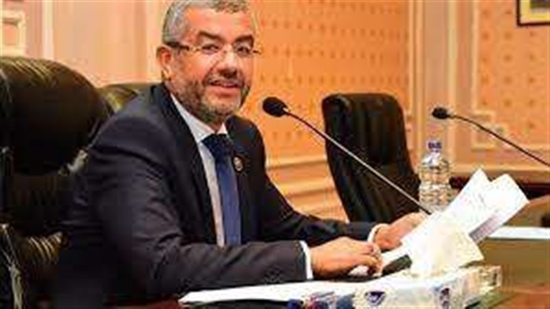 النائب عماد سعد حمودة،