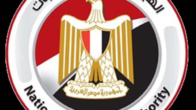 الهيئة الوطنية للانتخابات