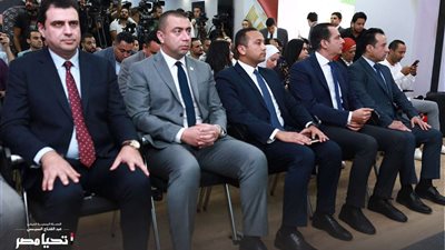 «حملة السيسي»: طلبنا فتح الحساب البنكي للإنفاق على الدعاية الانتخابية