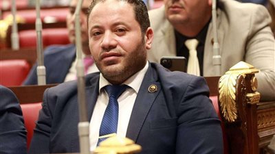 مصطفى سالمان: مشروع قرار القمة العربية الإسلامية أكد على موقف مصر الثابت والداعم للقضية الفلسطينية