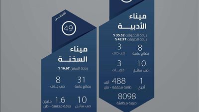 استقبال 74 سفينة متنوعة بحمولات تتجاوز 2 مليون طن بموانئ الجنوبية خلال أكتوبر