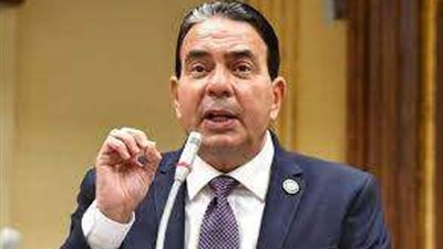 حقوق الإنسان بالنواب: قانون التحرش صادر ضد الجريمة من رجل أو امرأة