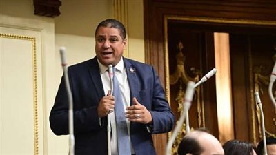 نائب التنسيقية: الدستور المصري يؤكد على أهمية الأسرة وتوفير الحماية للأمومة والطفولة