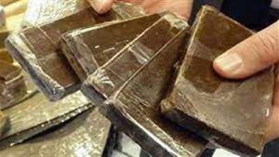 خلال حملة أمنية.. ضبط مواد مخدرة بقيمة 1.7 مليون جنيه بالمنوفية