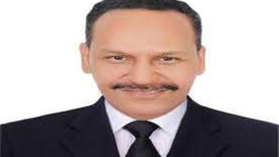 قيادي بـ«مستقبل وطن»: الرئيس السيسي يقود جهود حثيثة لدعم القضية الفلسطينية واستقرار المنطقة