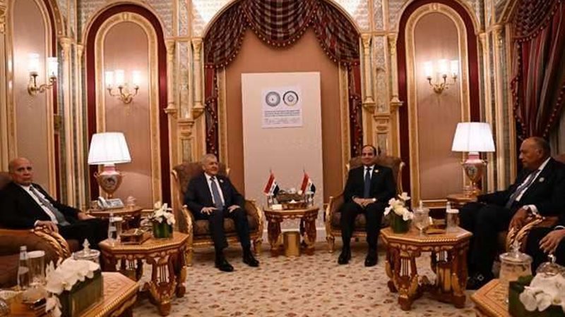 الرئيس السيسي يلتقي