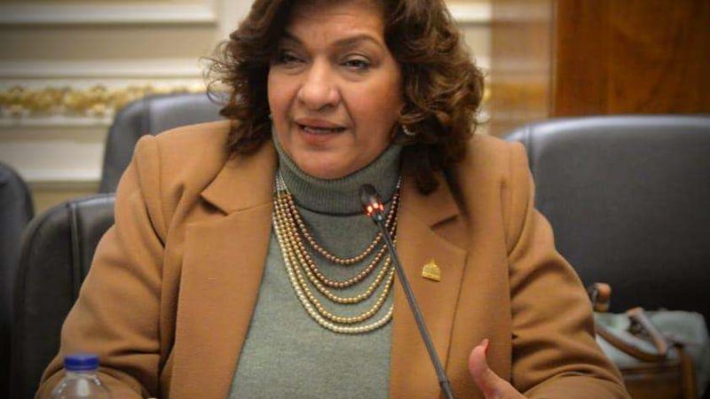النائبة إيفلين متى
