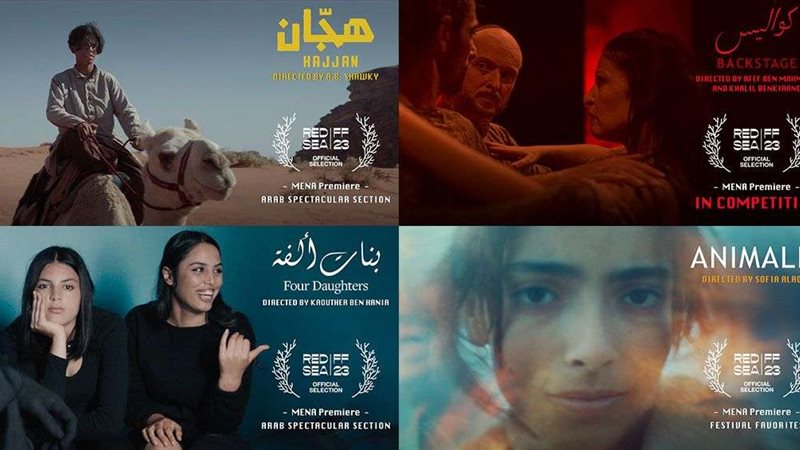 مهرجان البحر الأحمر