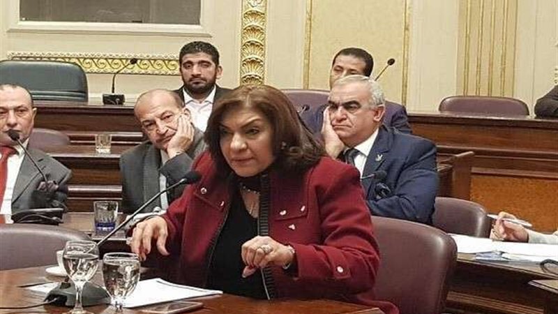 النائبة ايفلين متى،
