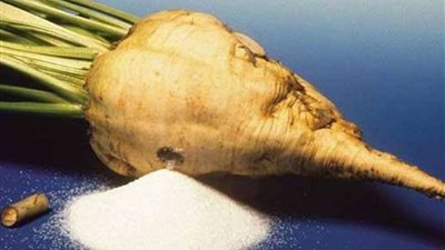 كيف نواجه أزمة السكر؟ وسر استقرار أسعار الخضروات؟.. نقيب الفلاحين يكشف التفاصيل