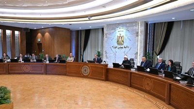 مدبولي: مصر تبذل جهودًا واسعة لإنهاء معاناة المواطنين في قطاع غزة