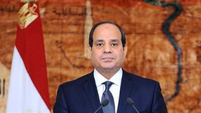 الرئيس السيسي يوجه بسرعة التنسيق لاستقبال الأطفال حديثي الولادة من غزة