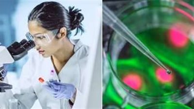 الكوليرا| أعراضها ومضاعفاتها.. تعرف على التحذيرات