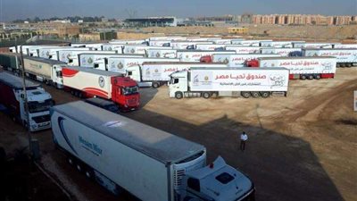 صندوق تحيا مصر: قافلة المساعدات الإنسانية لغزة تتضمن أكثر من 2510 أطنان