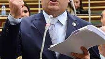 برلماني: توجيهات الرئيس السيسي بنقل الأطفال حديثي الولادة من غزة للمستشفيات المصرية هدفها الحفاظ على أرواحهم