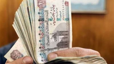 تنفيذًا لقانون العمل.. تعرف على نسبة العلاوة السنوية