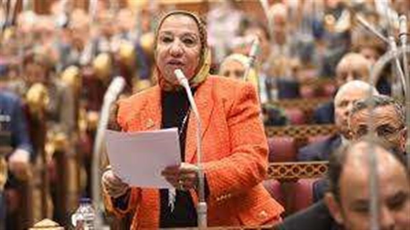 النائبة حياة خطاب،