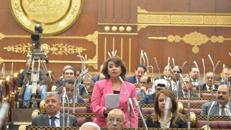 النائبة رشا إسحق