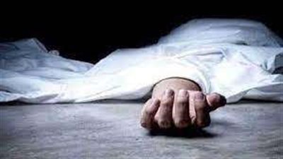 القبض على المتهمين بقتل شخص لخلاف على خفرة حراسة بالدقهلية