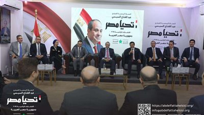 الحملة الرسمية للمرشح الرئاسي عبد الفتاح السيسي تستقبل وفداً من حزب حماة وطن