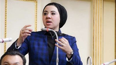 برلمانية: هناك فصل يومي للموظفين في عواصم الدول الغربية بسبب دعم فلسطين