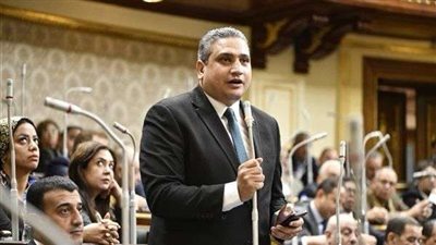 نائب التنسيقية: مصر متمسكة بتوصيل المساعدات لأهالي غزة والوقف الفوري غير المشروط للعدوان