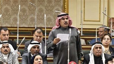 نائب شمال سيناء: نرفض كل صور التهجير القسري للأشقاء بغزة.. وندعم القيادة السياسية