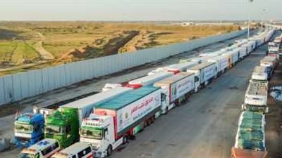 قافلة المساعدات الإنسانية تصل إلى ميناء رفح البري