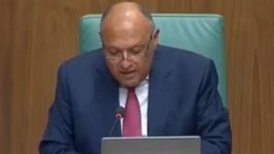 وزير الخارجية وأعضاء اللجنة العربية يثمنون دور روسيا في دعم القضية الفلسطينية