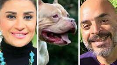 قرار جديد بشأن استئناف زوج مذيعة شهيرة على حكم حبسه