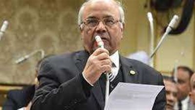 «الفيومي» يستعرض أمام البرلمان تقرير اللجان المشتركة بشأن مشروع قانون التصالح