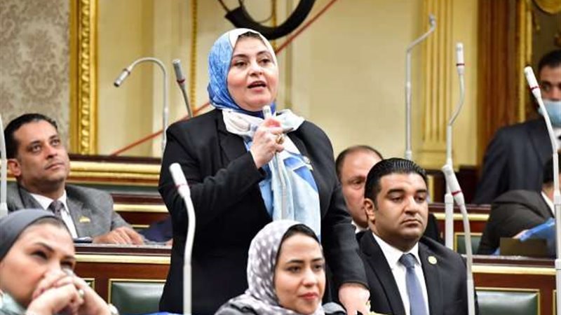 النائبة رحاب الغول