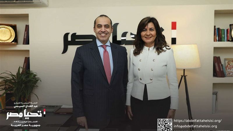 المستشار محمود فوزي