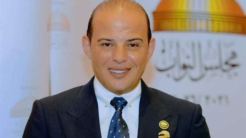 النائب عمرو القطامي،