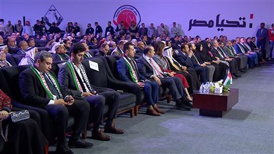 مؤتمر «صوت غزة من سيناء» يؤكد الوقوف خلف القيادة السياسية والرفض التام لمخططات تهجير الفلسطينيين